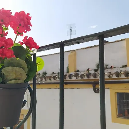 Apartment Sherryflat Buleria